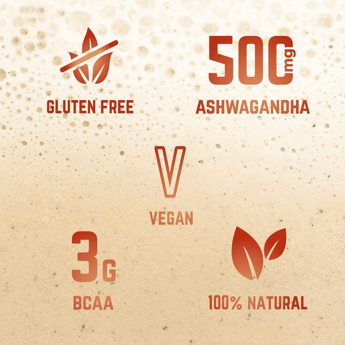 Molto Plant-Based Super-Shake – Madagascan Vanilla & Cinnamon Nutrition Drinks & Shakes Endurance kollective Veloforte