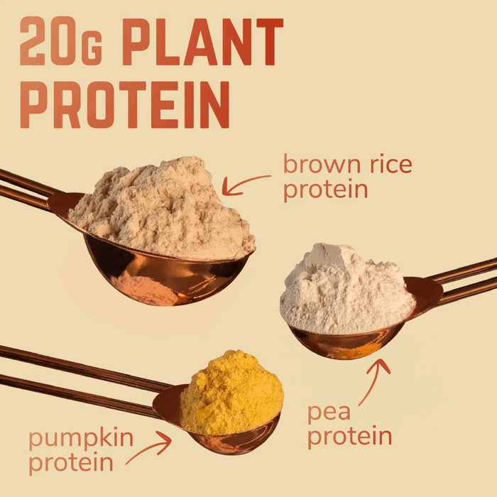 Molto Plant-Based Super-Shake – Madagascan Vanilla & Cinnamon Nutrition Drinks & Shakes Endurance kollective Veloforte