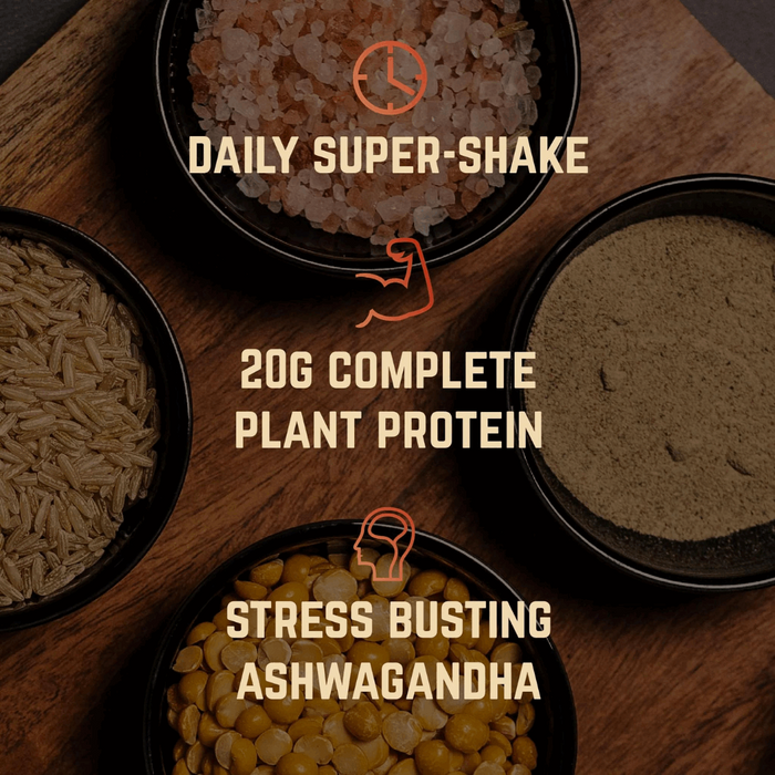 Molto Plant-Based Super-Shake – Madagascan Vanilla & Cinnamon Nutrition Drinks & Shakes Endurance kollective Veloforte